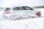 Seat Leon ST Cupra 300 2017 года (WW)